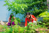 Trường THCS Hiệp An phát động chăm sóc cây xanh tại khuôn viên trường, lớp học