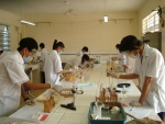 Các cuộc thi chọn HS giỏi cấp THCS nhằm phát hiện, tạo nguồn HS giỏi cho các trường THPT
