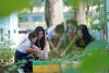 Tập thể Ngành GDĐT hưởng ứng Phong trào "Mỗi người trồng một cây xanh, mỗi nhà tạo một mảng xanh" của Thành phố