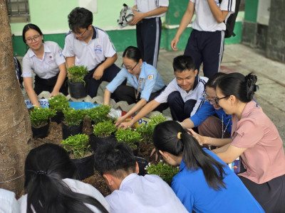 Liên đội phối hợp Chi đoàn thực hiện công trình thanh niên năm 2026