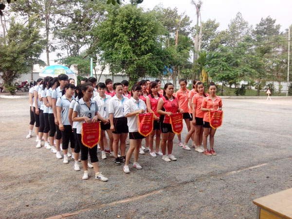 Các đội tham dự
